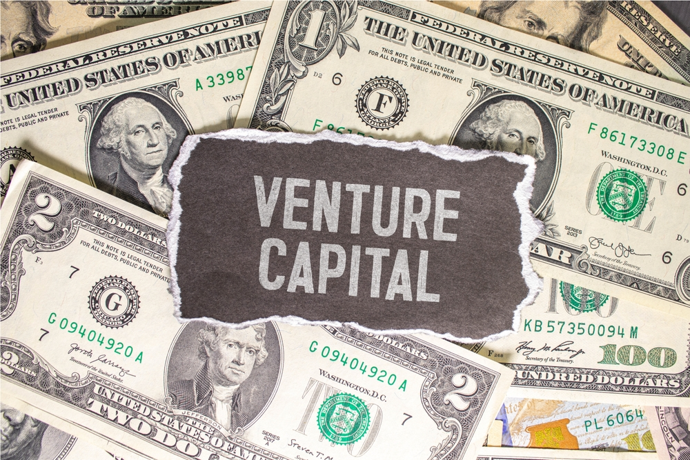 Venture Capital Angel Investors Crowdfunding or Grants Choosing the Right Option in Africa